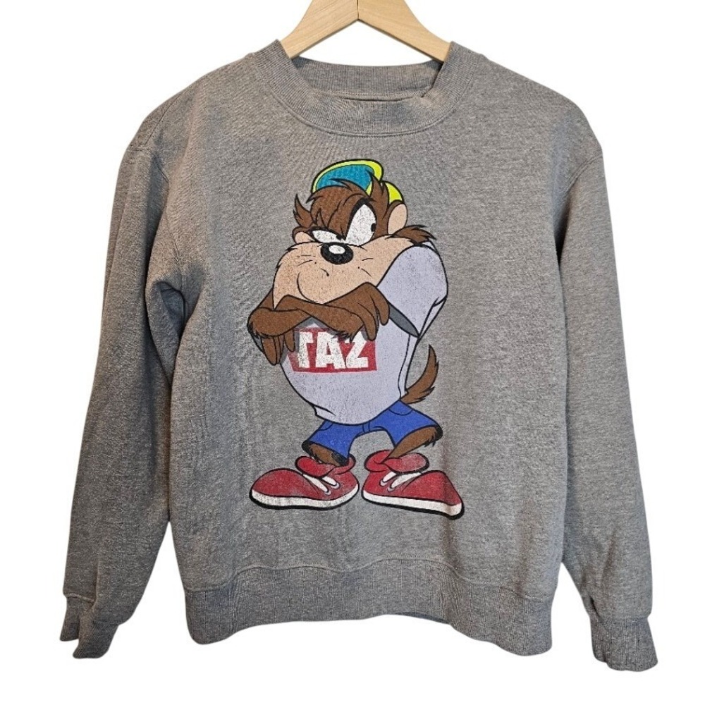 Looney Tunes Taz‎ Sweatshirt Youth Small 13 Gray Cartoon Graphic Crewneck